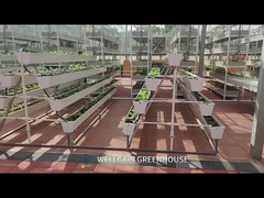 Σύγχρονη γεωργική φράουλα καλλιέργεια ρυμουλκούμενου εξοπλισμού φύτευσης PVC για υδροπονικό θερμοκήπιο