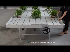 Προσαρμοσμένο Hydronic Ebb Flow Bench Τραπέζι σποράς Σύστημα πλημμύρας Τραπέζι εσωτερικού θερμοκηπίου