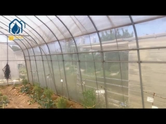 Οικονομικό θερμοκήπιο σήραγγας για τη γεωργία