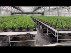 Προσαρμοσμένο 4x8 Νηπιαγωγείο Υδροπονική Ebb And Flow Τραπέζι Rolling Bench Grow Rack
