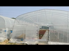 Ανθεκτικό θερμοκήπιο με σήραγγα μίας διάστασης για υδροπονική καλλιέργεια λαχανικών και φρούτων