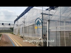 Mehrspannendes Gewächshaus aus Kunststoff für optimales Anbauwachstum und Effizienz