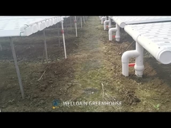 Σύστημα Υδροπονικής Ανάπτυξης