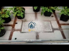 Εμπορικές βάρκες κυλίνδρων κυλίνδρων κυλίνδρων κυλίνδρων κυλίνδρων κυλίνδρων κυλίνδρων κυλίνδρων