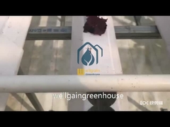 Υδροπονικό σύστημα θερμοκηπίου κάθετο NFT Υδροπονικό σύστημα Χωρίς έδαφος φυτώριο λαχανικών