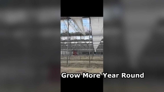 Custom Polycarbonate Greenhouses For Organic Farming